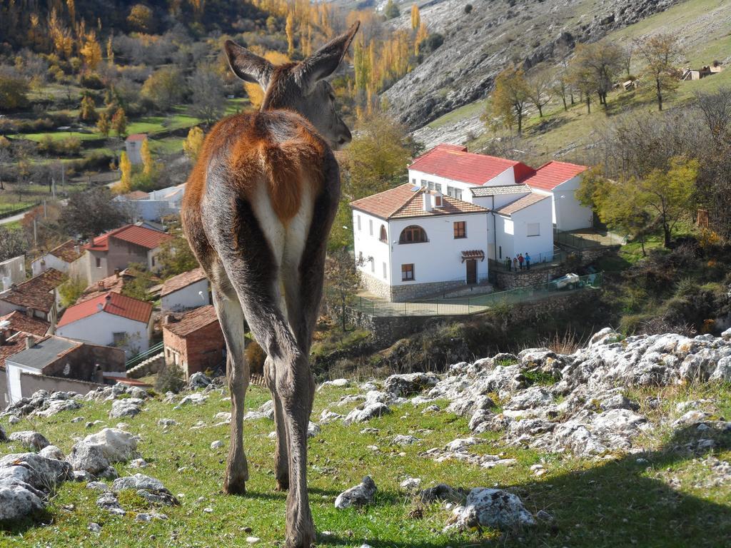 Casa Rural El Perchel Pontones  Szoba fotó
